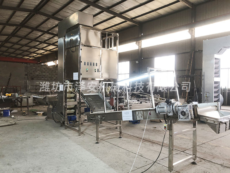 乳白花生生產線 